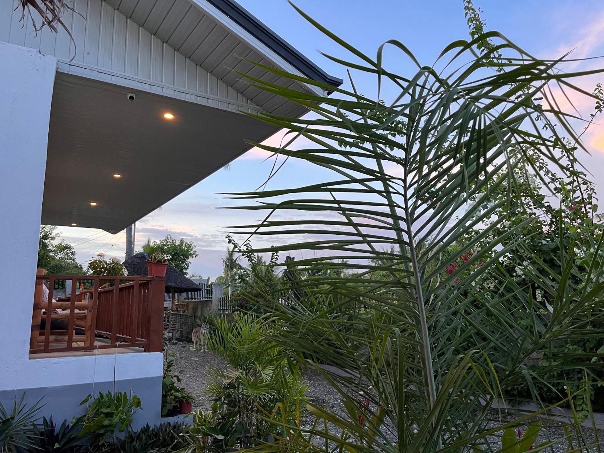 Momo Hostel موالبوال المظهر الخارجي الصورة